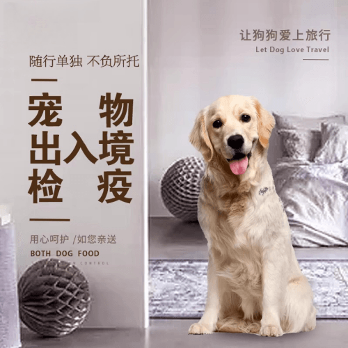 彰化县宠物托运到哥伦比亚猫狗宠物入境规定和