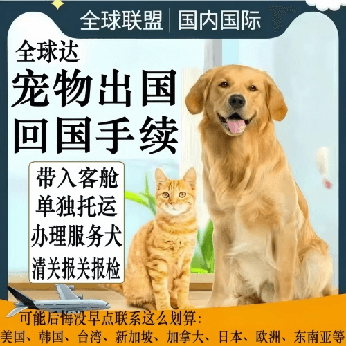 彰化县宠物托运到柬埔寨宠物入境规定和要求