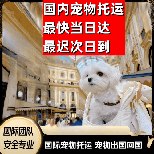 彰化县到澳大利亚（澳洲）宠物入境规定和要求