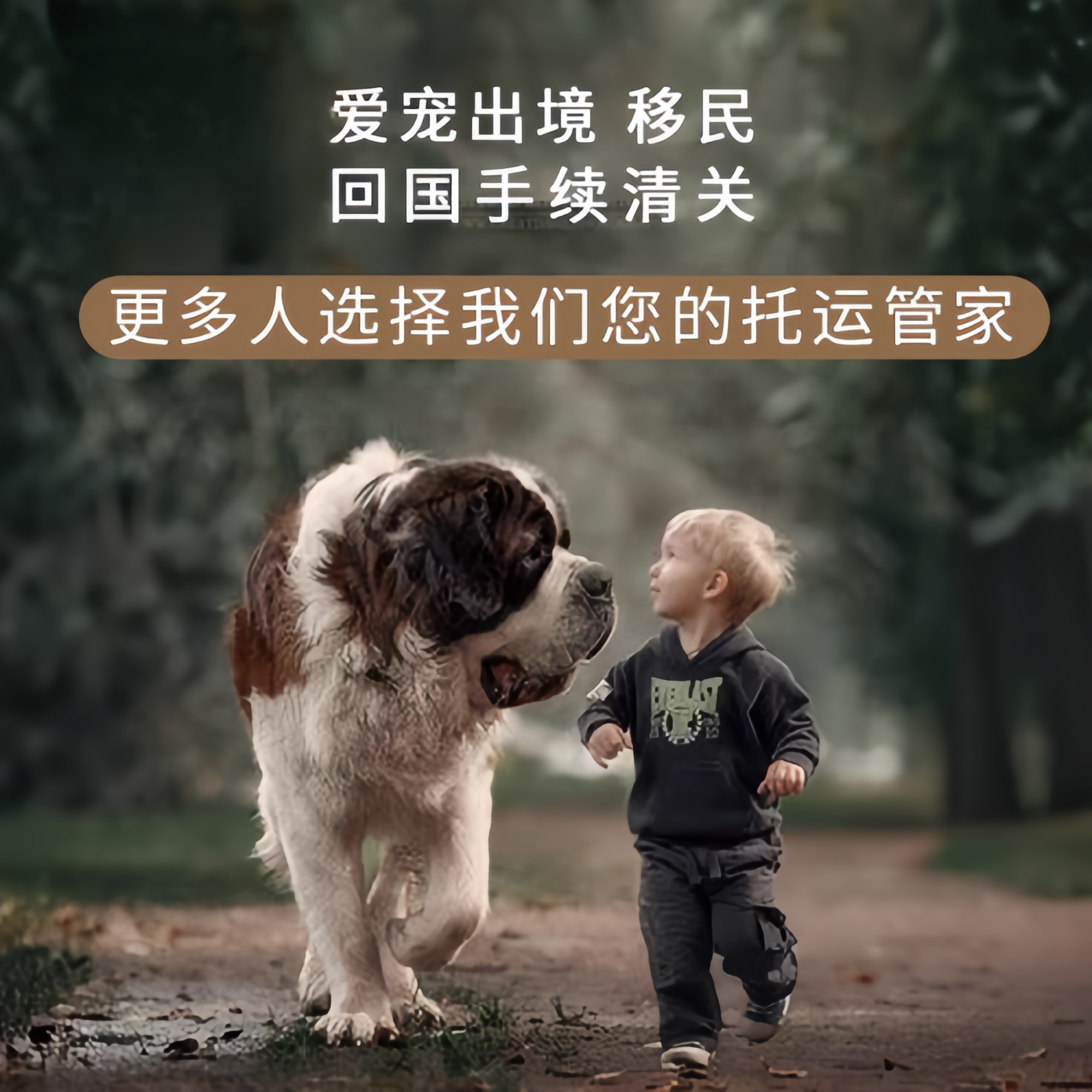 满财彰化县宠物全球达宠物托运在遵守入境目的地政策的条件