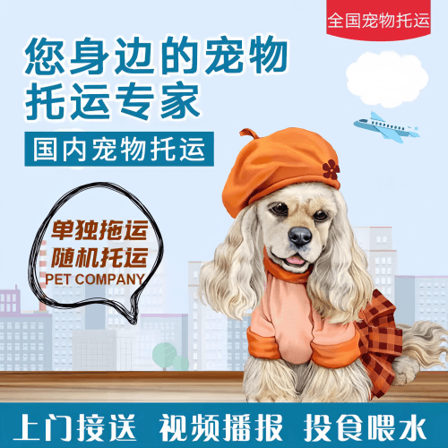 满财彰化县宠物全球达宠物托运作为专业的宠物运输代理机构